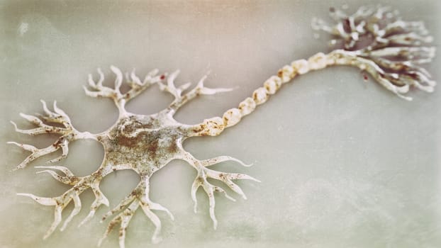 Nerve cell under a microscope as concept work - 3D rendering.