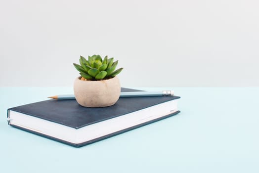 Cactus in a pot on a blue and grey background, minimalistic decoration, plant stands on a book at the desk, copy space for text, modern home