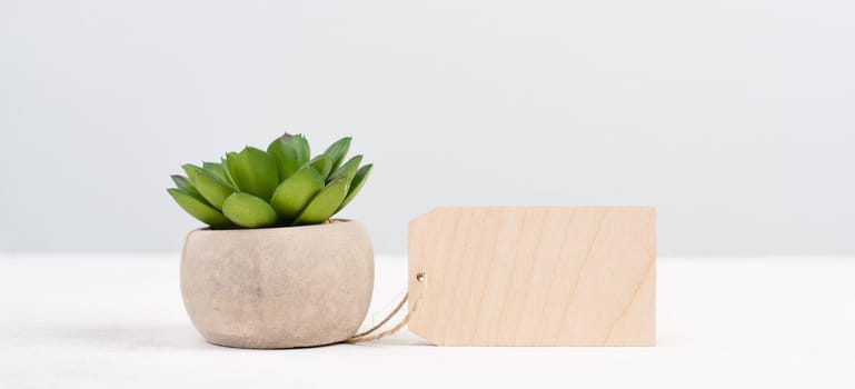 Cactus with an empty tag for text, in a pot on a gray background, minimalistic decoration, plant at the desk, modern home, greeting card