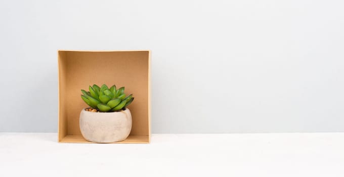 Cactus in a pot on a grey background, minimalistic decoration, plant at the desk inside a gift box, copy space for text, modern home