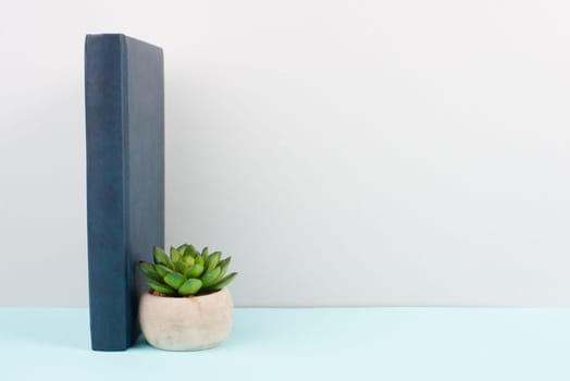 Cactus in a pot on a blue and grey background, minimalistic decoration, plant stands beside a book at the desk, copy space for text, modern home