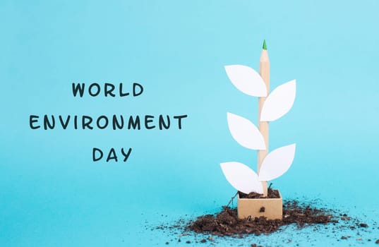 World environment day is standing on the blue background, plant is growing, protect nature, environmental conversation