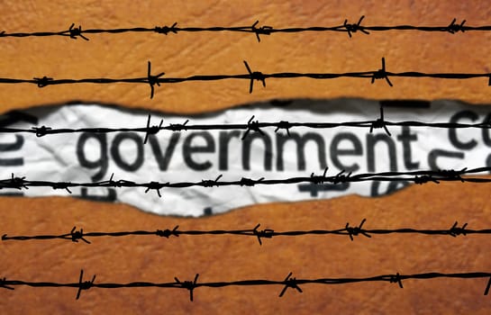 Government