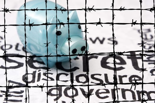 Secret disclosure government