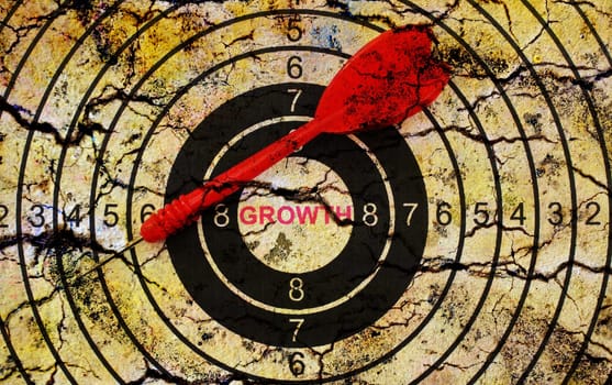 Growth target concept