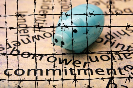 Borrower commitment concept