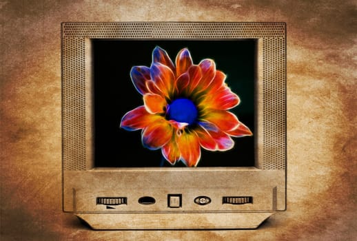 Fractal flower on TV