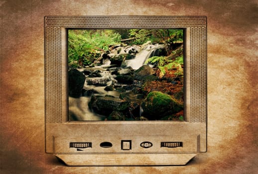 Deep forest river on tv