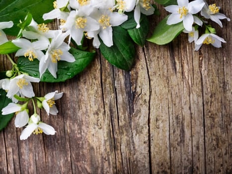 Beautiful jasmine flower on rustic wooden table