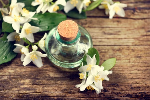 Essential oil with jasmine flower on rustic wooden table