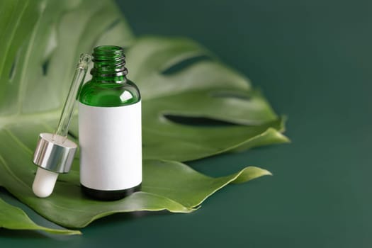 Opened Dropper Bottle on tropical monstera leaf on green table close up. Brand packaging mockup. Aromatic oil, skincare beauty product, cream or serum. Natural herbal cosmetics concept..