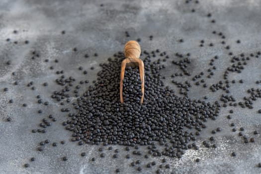 Wooden Scoop of black beluga lentils beans on grey wooden table close up. Healthy eating, protein source for vegan and vegetarian diet. Traditional Asian and North African cuisines ingredient