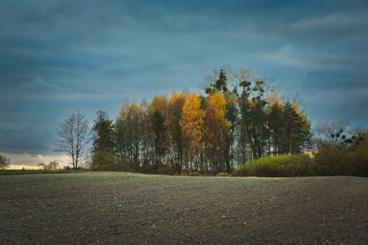 Plowed field and autumn trees on a cloudy day, October view