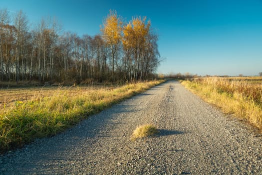 Gravel road by the autumn forest and blue sky, October day