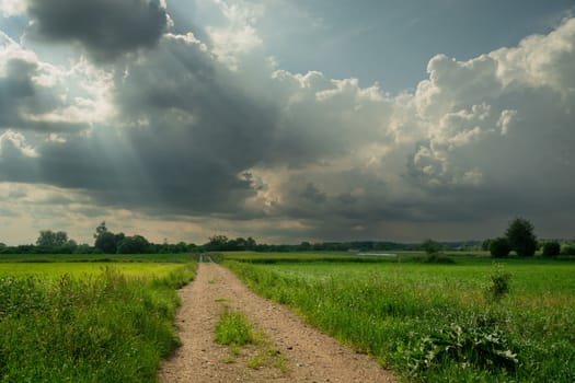 Dirt road through green fields and the sun behind the clouds, Nowiny, Poland