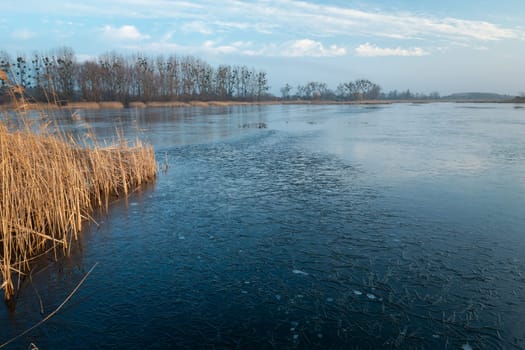A freezing lake with reeds and clouds on the sky, Stankow, Poland