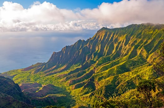 Evening Light on a Tropical Valley in the Kalalau Valley on Kauai