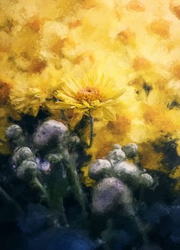 Painting of yellow chrysanthemums. Blooming autumn flowers. Soft nature background with blossoming Michaelmas daisies