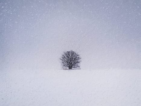 Painting of a lone tree in the snowy field. Cold winter scene and a leafless oak stands single under snowdrift. Numb nature landscape, silence and solitude mood