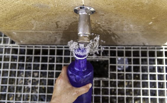 Filling water bottle in fountain, water and summer, refreshment
