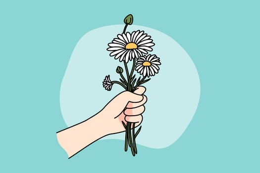 Close up of hand holding daisies congratulate with birthday or anniversary. Person with flowers bouquet enjoy summer plant. Flat vector illustration, cartoon style.