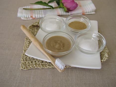Homemade toothpaste with coconut oil, xylitol and medicinal clay