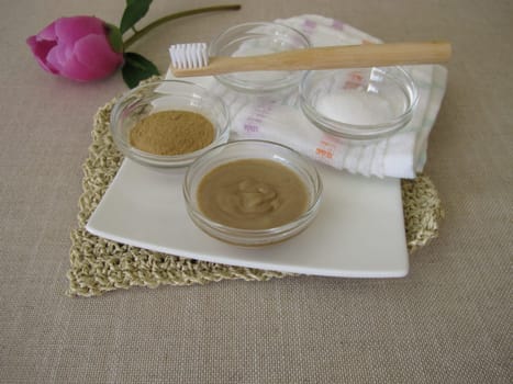 Homemade toothpaste with coconut oil, xylitol and medicinal clay