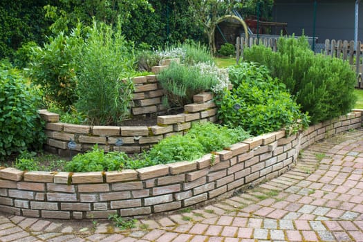 herb spiral in the garden with fresh herbs