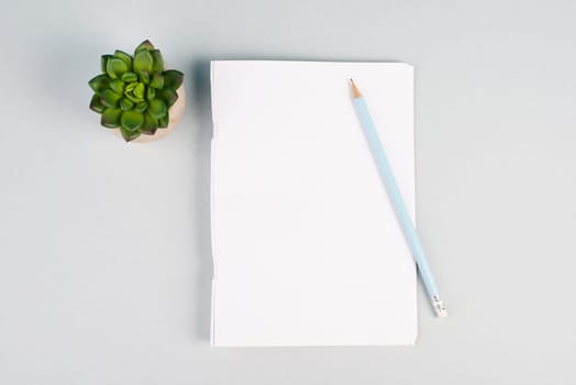 Empty paper with a pen and a cactus textured background, brainstorming for new ideas, writing a message, taking a break, home office desk