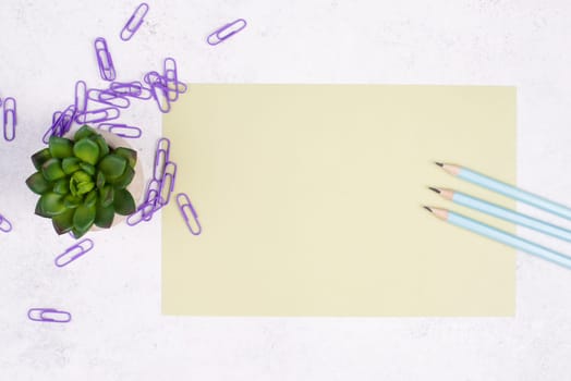 Empty paper with a pen and a cactus textured background, brainstorming for new ideas, writing a message, taking a break, home office desk