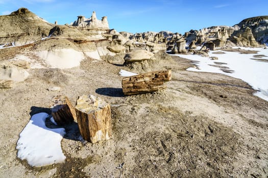 Pieces of petrified wood at Bisti De-Na-Zin Wilderness area in New Mexico in winter