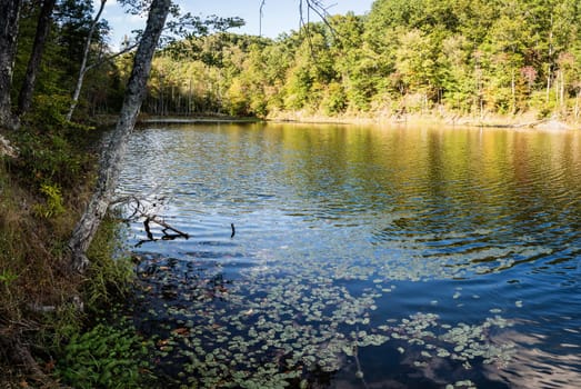 Panoramic view of Eagle Lake in Morehead, Kentucky in fall