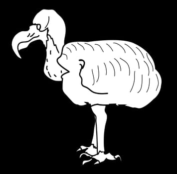 Line drawing in white on black of the now extinct dodo bird