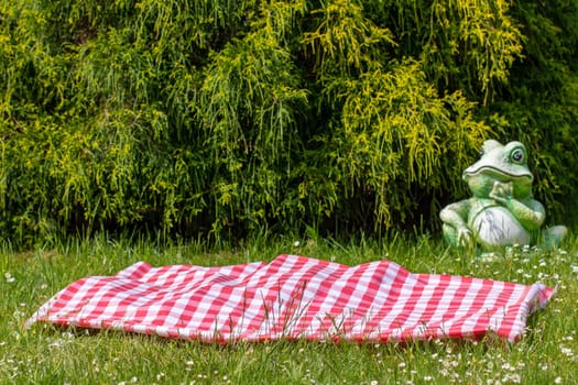 Red picnic cloth. Red checked picnic blanket on a meadow with daisies in bloom. Beautiful backdrop for your product placement or montage. Frog in background.