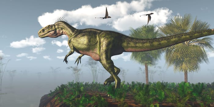 Dimorphodon Pterosaur fly over a Monolophosaurus theropod carnivorous dinosaur in a wetland area.