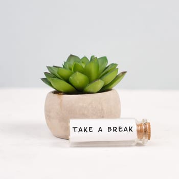Cactus in a pot on a grey background, glass bottle with the phrase take a break, plant at the desk