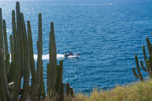 View from in a rock in Puerto Rico, Gran Canaria in the background the blue sea