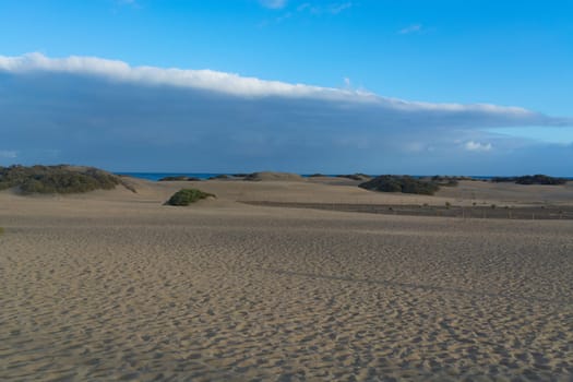 National park of Maspalomas sand dunes. Gran Canaria, Canary islands, Spain