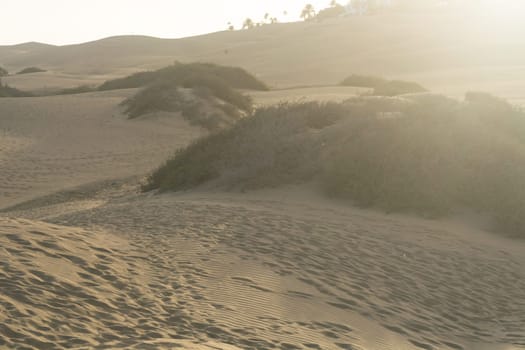 Interlocking patterns in sand - sand dunes, Maspalomas, Cran Canaria