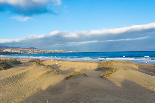 Coast dunes beach sea, panorama