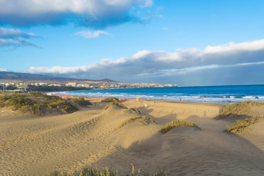 Coast dunes beach sea, panorama
