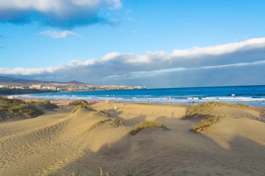 Coast dunes beach sea, panorama