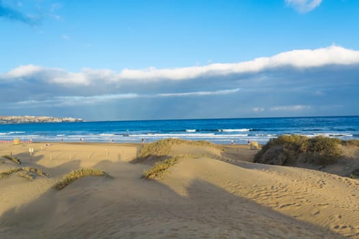 Coast dunes beach sea, panorama