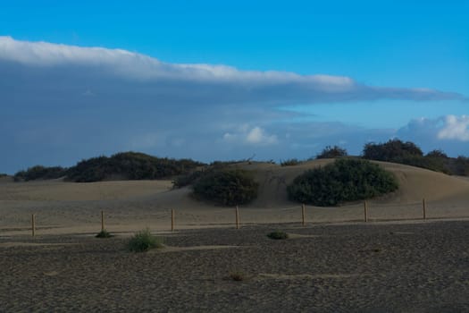 National park of Maspalomas sand dunes. Gran Canaria, Canary islands, Spain