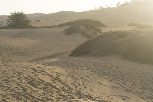 Interlocking patterns in sand - sand dunes, Maspalomas, Cran Canaria