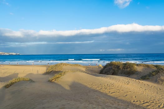 Coast dunes beach sea, panorama