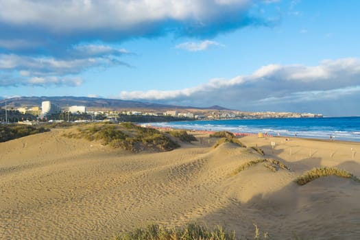 Coast dunes beach sea, panorama