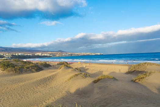 Coast dunes beach sea, panorama