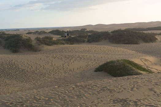 Interlocking patterns in sand - sand dunes, Maspalomas, Cran Canaria