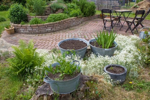 rustic garden -  fern,  plants in tin tub, herb spiral, chairs and table